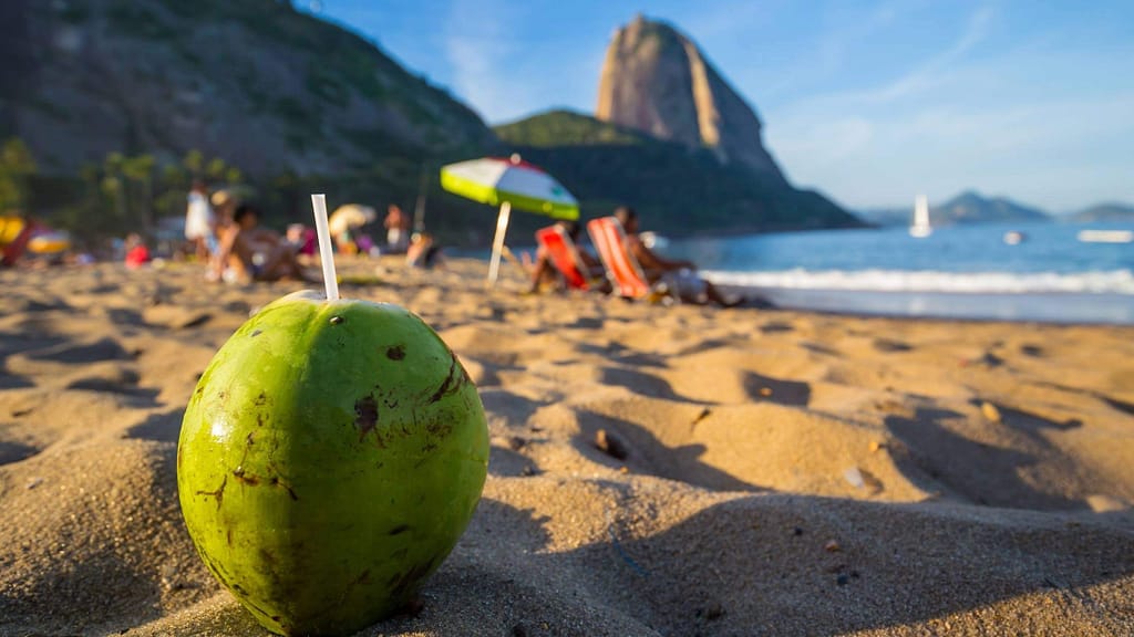 trilha 5 trilhas no Rio de Janeiro com vistas fantásticas