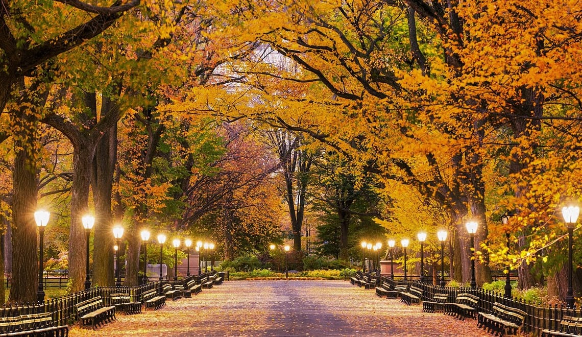 Central Park no Outono