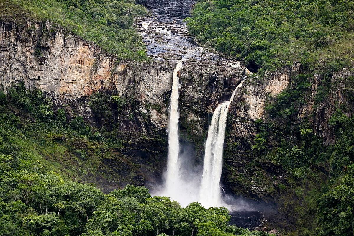 Ecoturismo no Basil