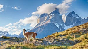 magia dos andes Dica de Série | Magia dos Andes: paisagens fantásticas e a vida sobre a cordilheira