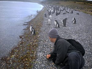 Ushuaia Ushuaia: na ilha dos pinguins do fim do mundo