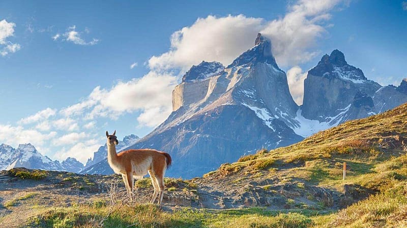 magia dos andes Início - Escriba de Bordo