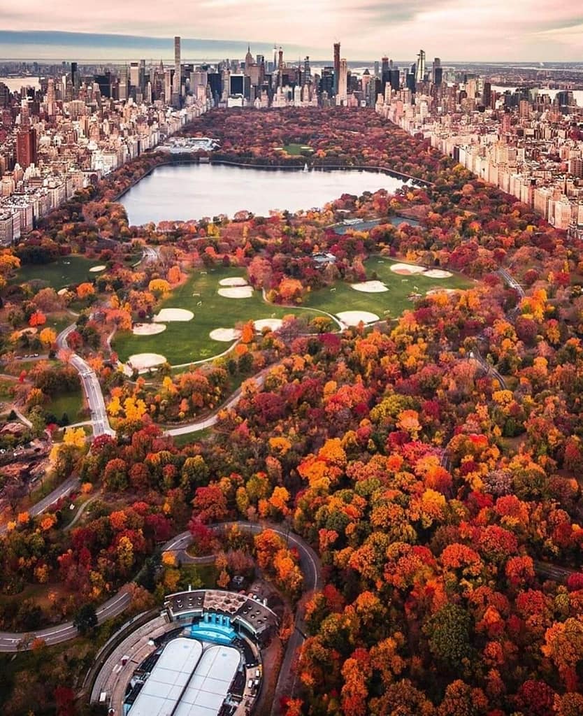 Central Park Nova York: da arte de flanar o Central Park no outono