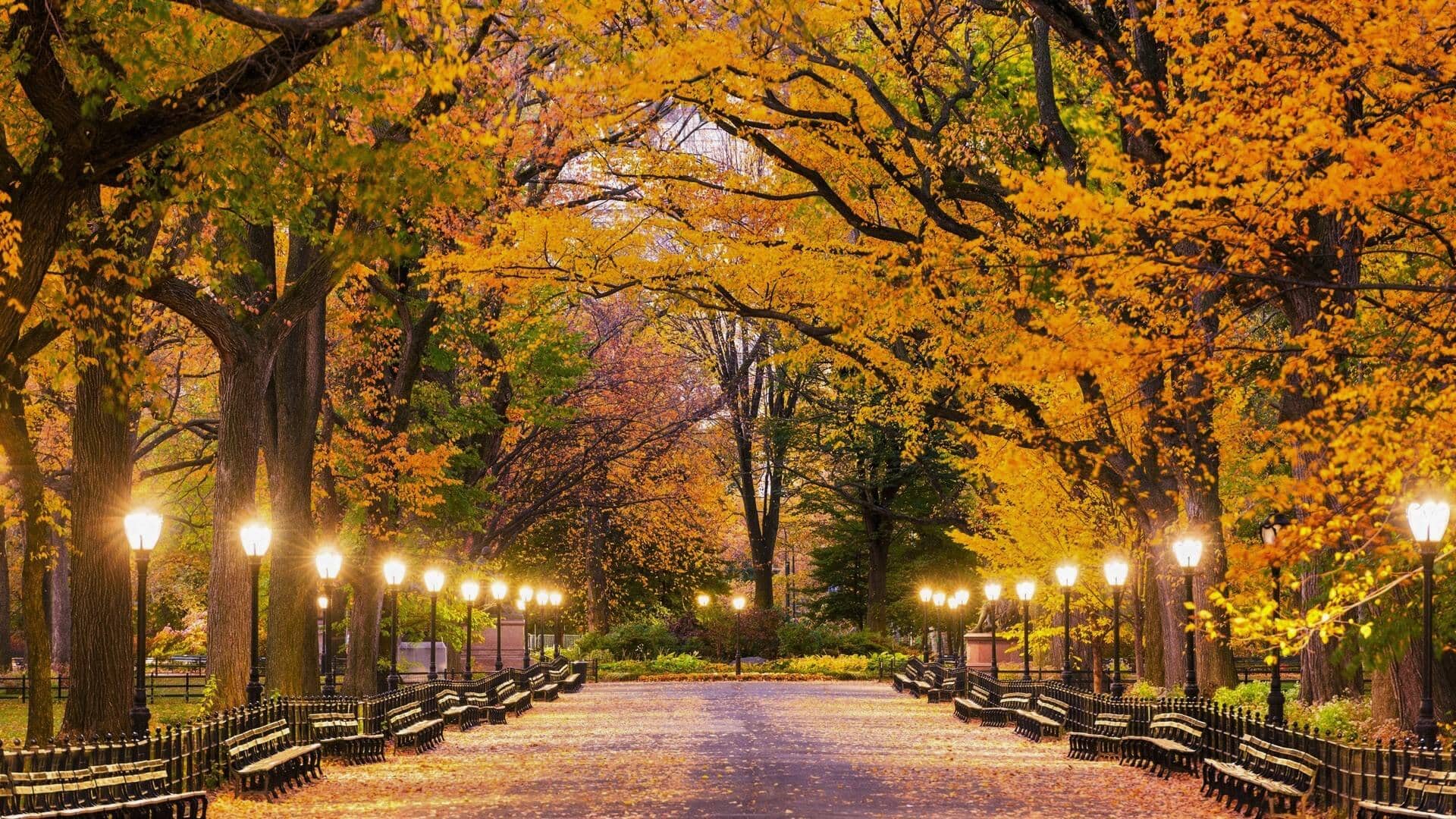 Central Park no Outono